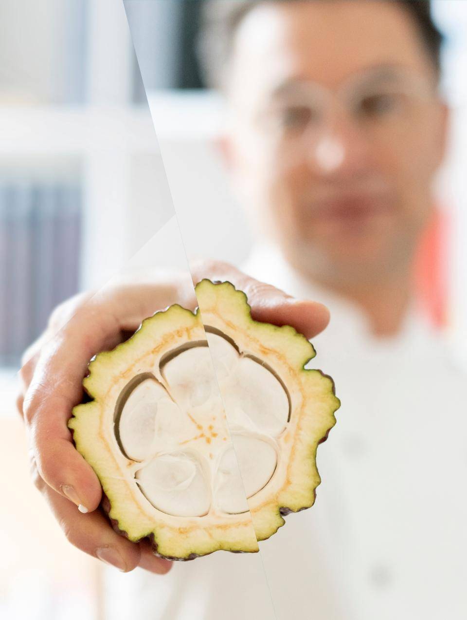 Nosso propósito e missão