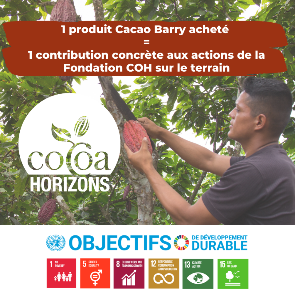 COH actions terrains