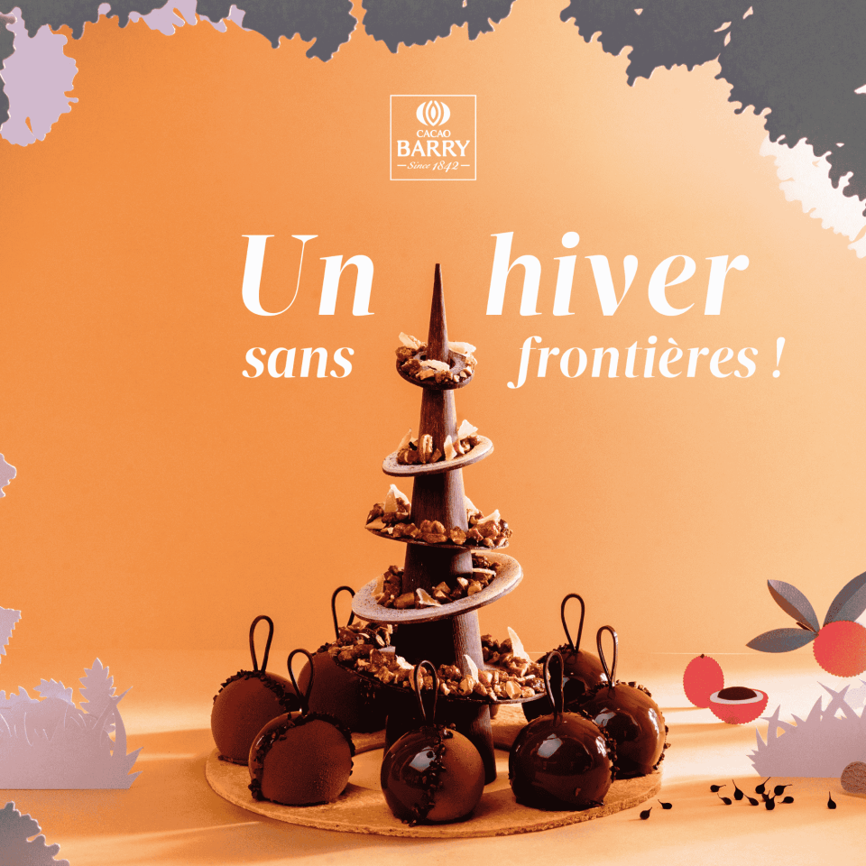 Carnet buche et chocolaterie cacao barry noel 2025