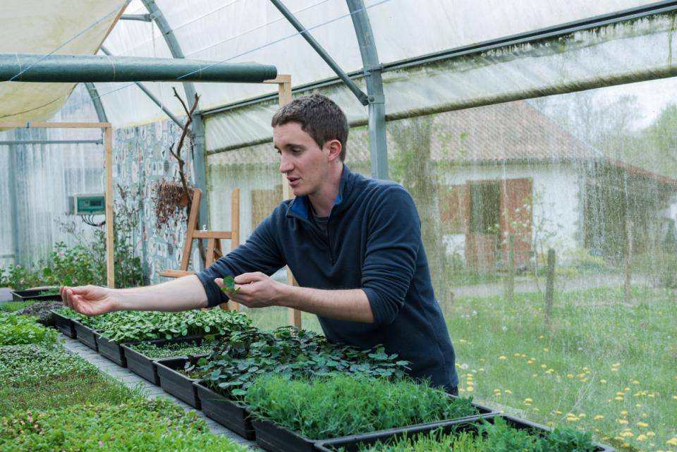 CacaoCollective Cacao and Plantes Aromatiques Rares