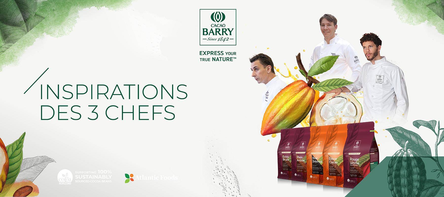 inspiring recipes with wholefruit chocolate and cocoa powders