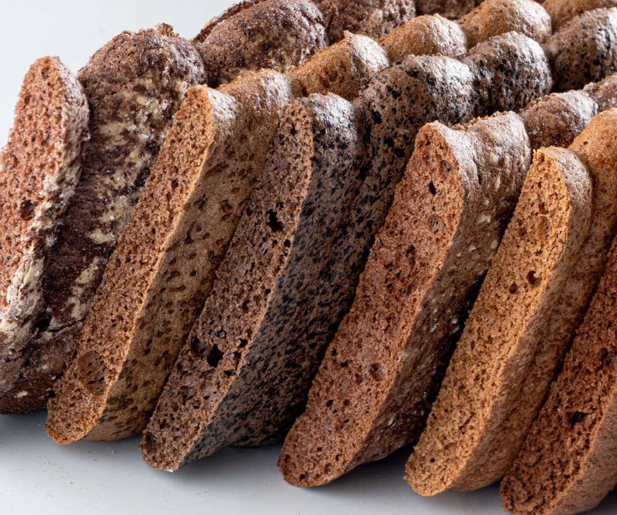 Cacao powders colors and flavors