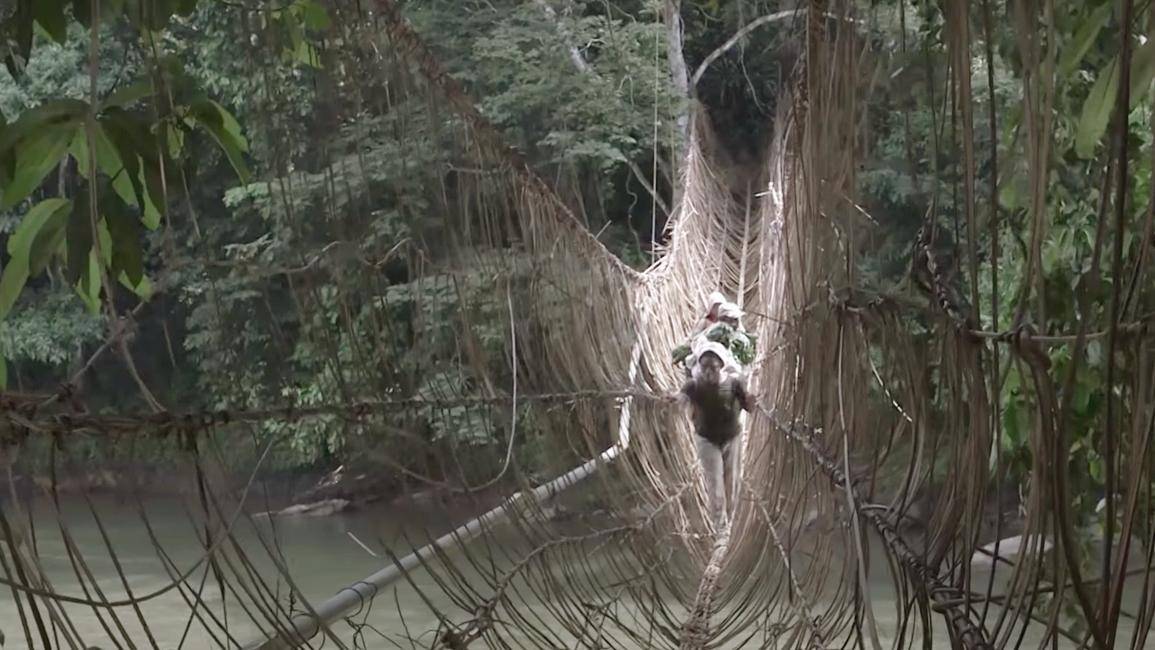 エピソード 12 - カカオの未来