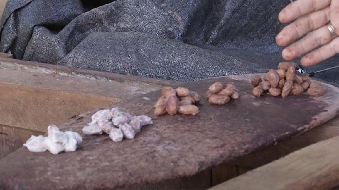 Folge 8 - Fermentation 