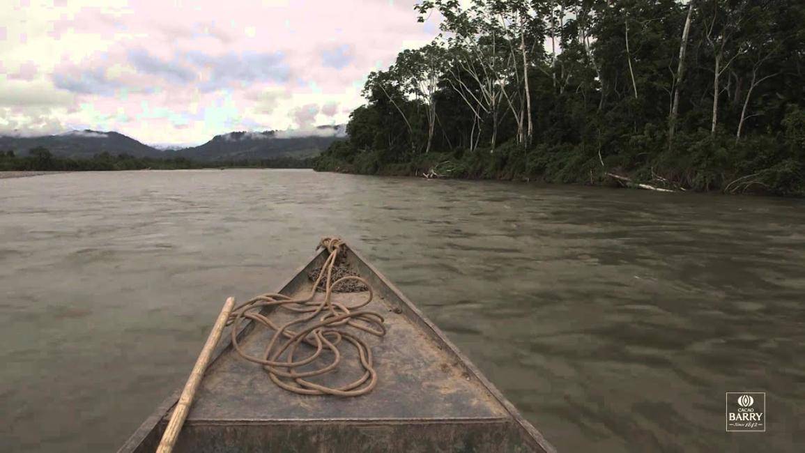 Episode 2 - L'origine du cacao