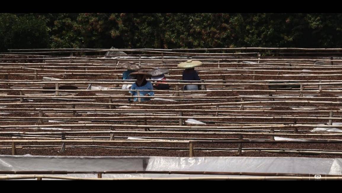 エピソード 7 - 収穫後