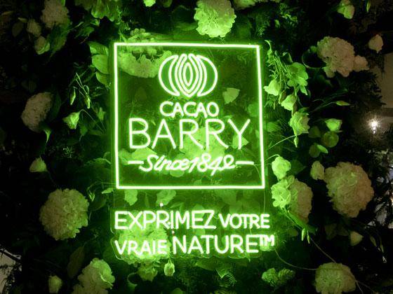 Media Kit Cacao Barry