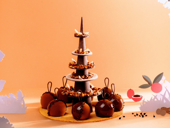 Carnet recette Cacao Barry Bûches & chocolaterie 2025